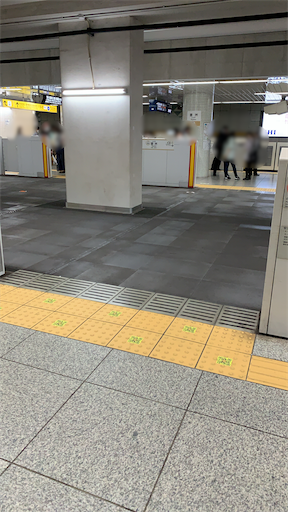 f:id:tonarino_tororo_desu:20210606023241p:plain