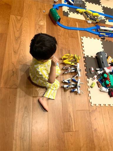 f:id:tonarino_tororo_desu:20210609012009j:plain