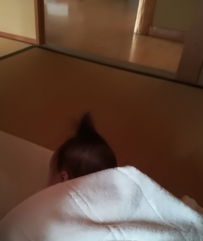 f:id:tonaritori:20180524094532j:plain f:id:tonaritori:20180524094532j:plain