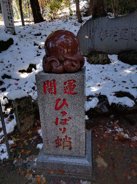 f:id:tonburioyaji:20161125170446j:image f:id:tonburioyaji:20161125170446j:image