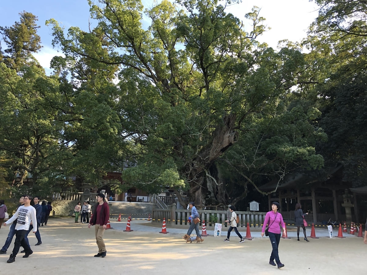 f:id:tonchi3838:20191204100053j:plain f:id:tonchi3838:20191204100053j:plain