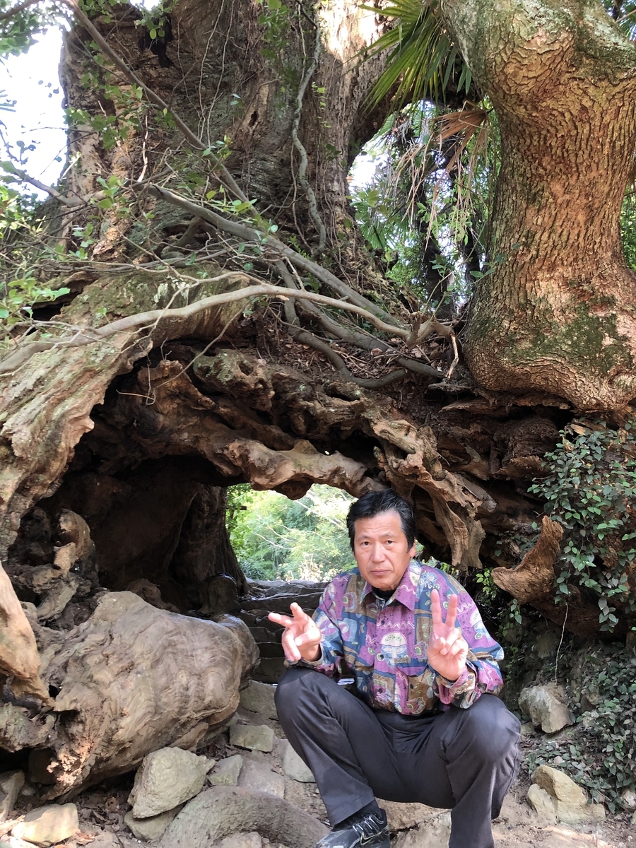 f:id:tonchi3838:20191204100525j:plain f:id:tonchi3838:20191204100525j:plain