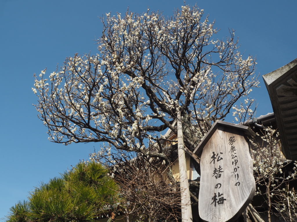 f:id:tonechiiki:20180228104422j:plain