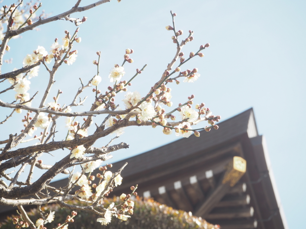 f:id:tonechiiki:20180228104532j:plain