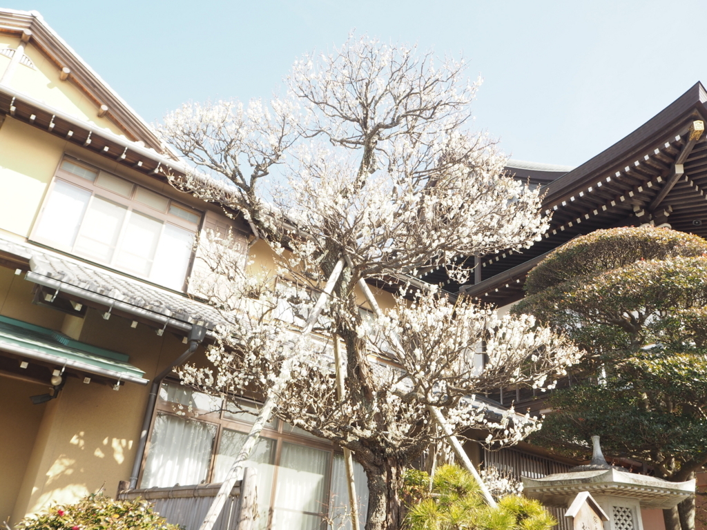 f:id:tonechiiki:20180228104659j:plain