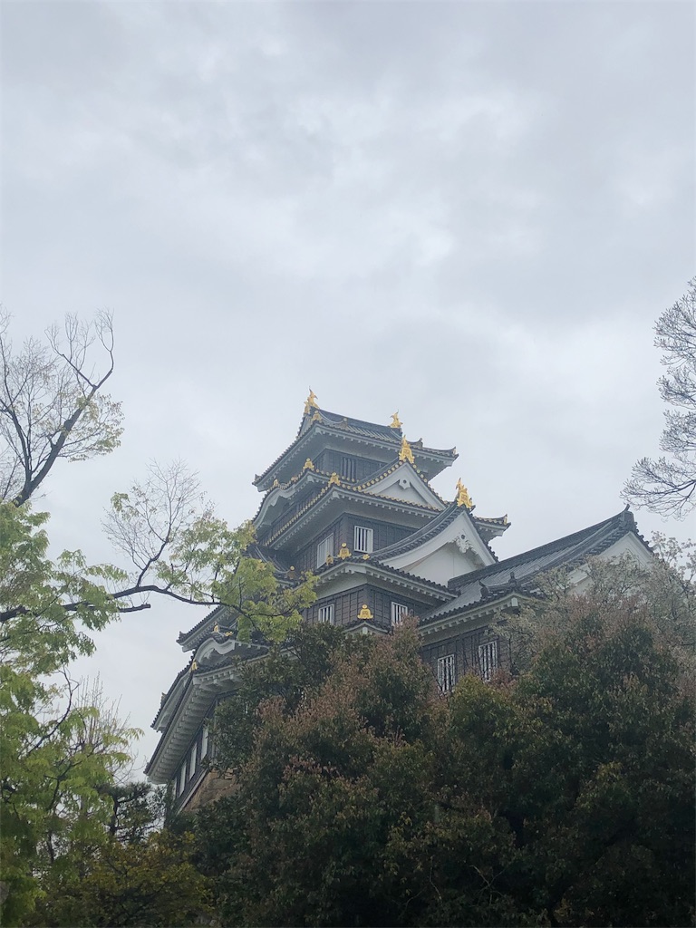 f:id:tonegawa1122:20190428090246j:image f:id:tonegawa1122:20190428090246j:image