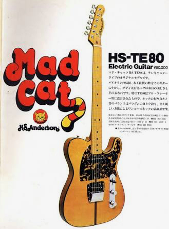 H.S Anderson HS-1 MAD CAT 購入編 - 俺とギター