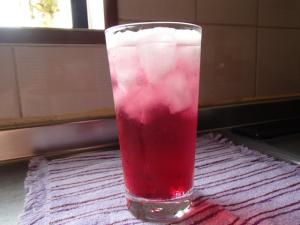 f:id:tongarashi:20160619133625j:plain f:id:tongarashi:20160619133625j:plain