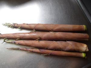 f:id:tongarashi:20160619135817j:plain f:id:tongarashi:20160619135817j:plain