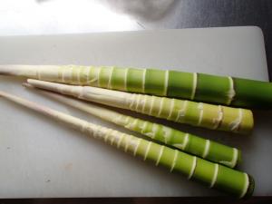 f:id:tongarashi:20160619140739j:plain f:id:tongarashi:20160619140739j:plain