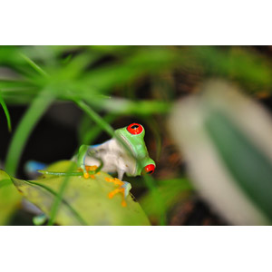 f:id:tongarashi:20160624205028j:plain