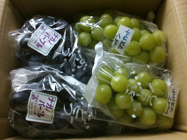 f:id:tongarashi:20170926092734j:plain f:id:tongarashi:20170926092734j:plain