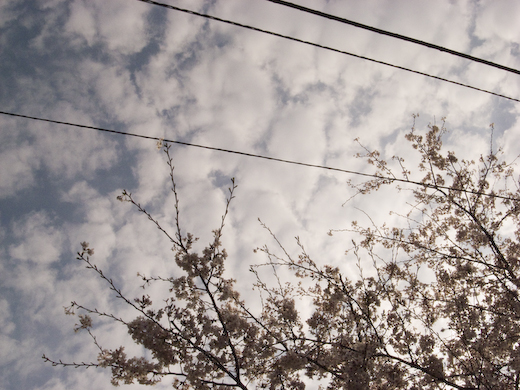 f:id:tongfoo:20080405012552j:image f:id:tongfoo:20080405012552j:image