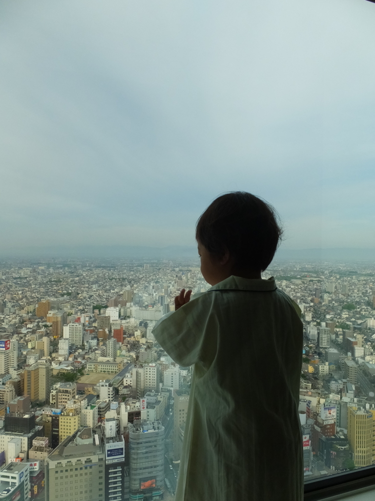 f:id:tongryoko:20180629005139j:plain f:id:tongryoko:20180629005139j:plain