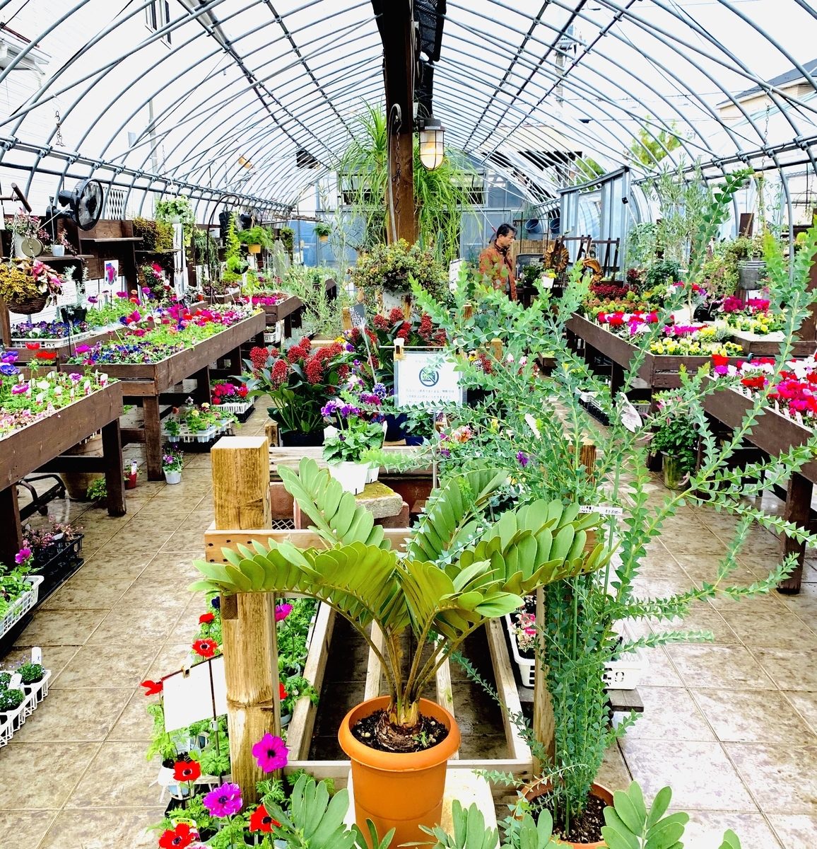 f:id:tongtengkang:20191205123813j:plain f:id:tongtengkang:20191205123813j:plain