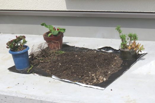 犬走りorポーチに干した鉢植え土