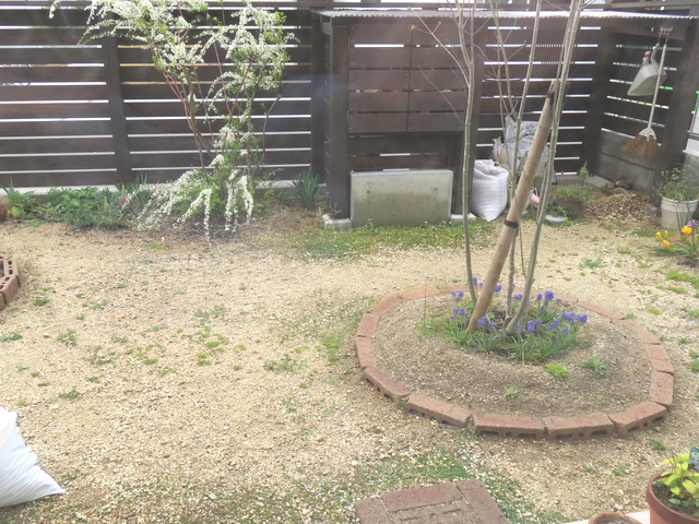 居間からみた庭