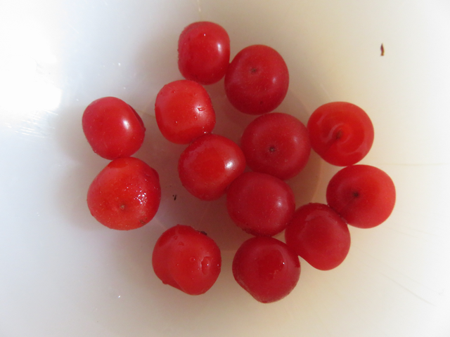 ユスラウメの実