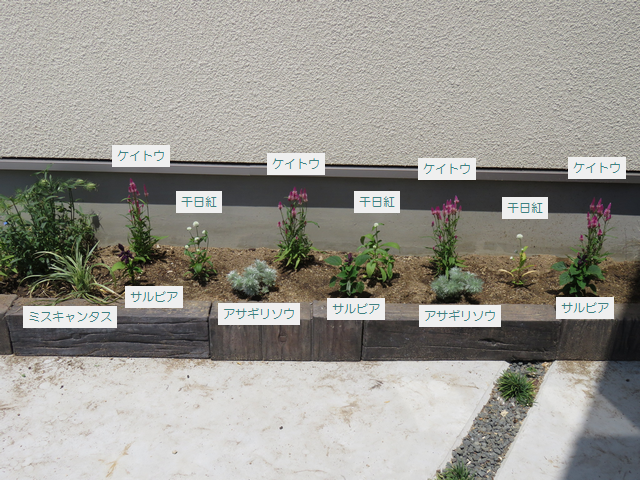 花壇の右側