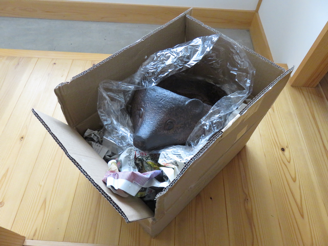 梱包を解かれたハリネズミプランター