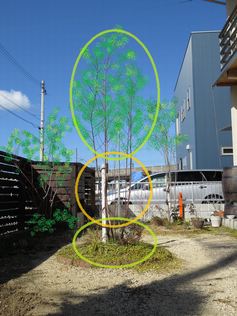 植栽で高さのバランスを書いた画像