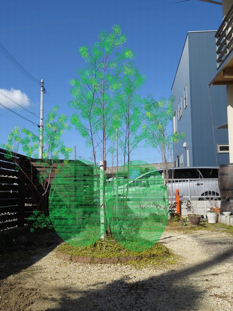 植栽の左右バランスを検討する画像・同じ