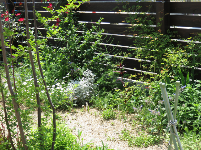 GWの庭の風景の画像