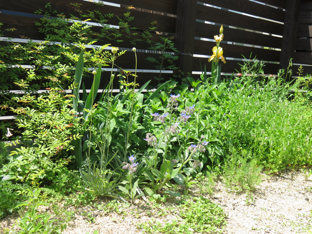 GWの庭の風景の画像