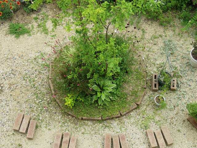 2018年6月の植栽の画像