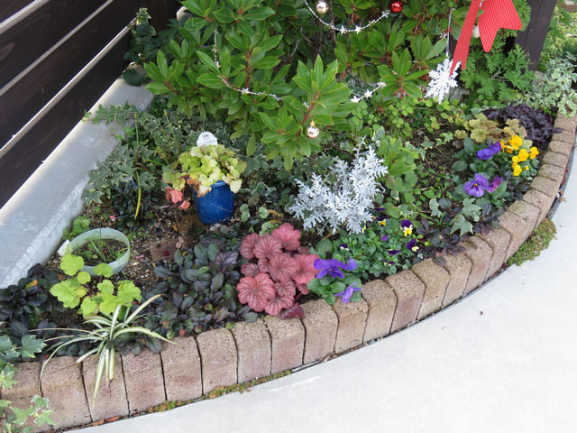 イチゴの木の足元の植栽