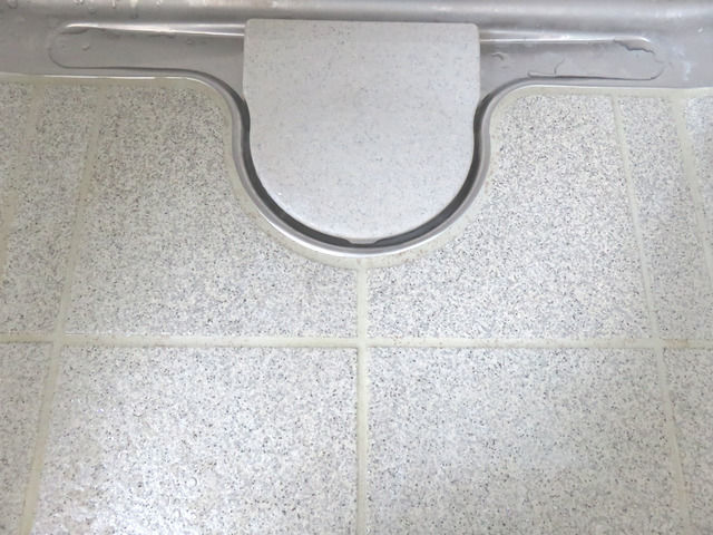 カビ取り2回目