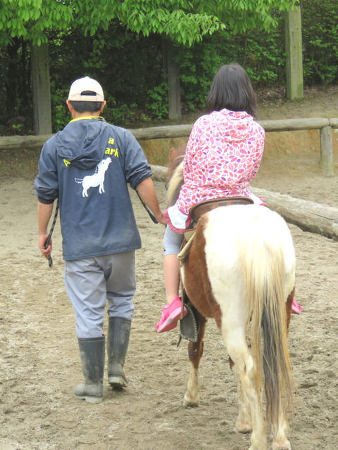 ポニー乗馬体験