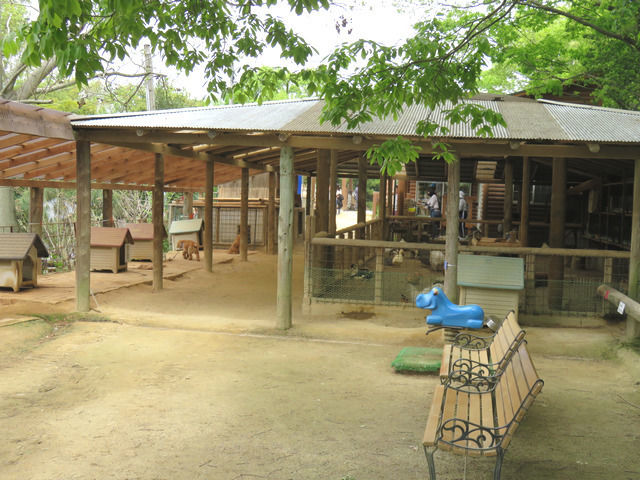 渋川動物公園の園内風景