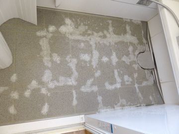 床の目地に洗剤を吹き付けた様子