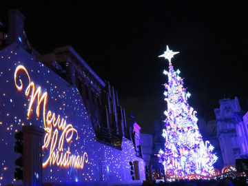 夜のクリスマスツリーの画像