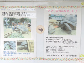 渋川動物公園 2回目の訪問 ちょっと曲がった家