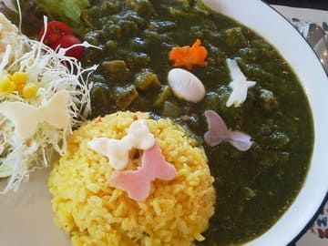 ファーブルの森カレー