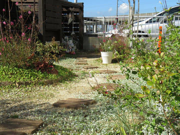 レンガの飛び石の庭の景色