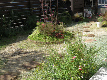 レンガ小道を見下ろした様子