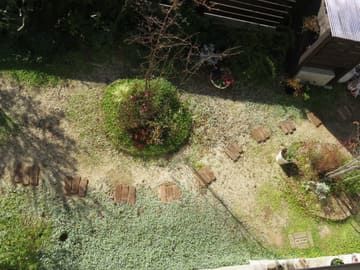 レンガを飛び石に並べた庭の全景