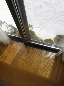 直射日光を遮る遮光ネットを室内から見た様子