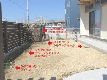 まばらに植えられた草花
