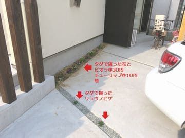 まばらに草花が植えられた花壇
