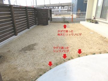 まばらに草花が植えられた庭