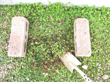 スコップで掘っている