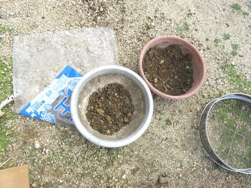 植木鉢に入れた掘った土