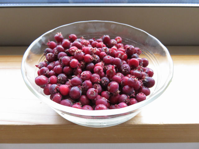 サラダ鉢にいっぱい入れたジューンベリーの実