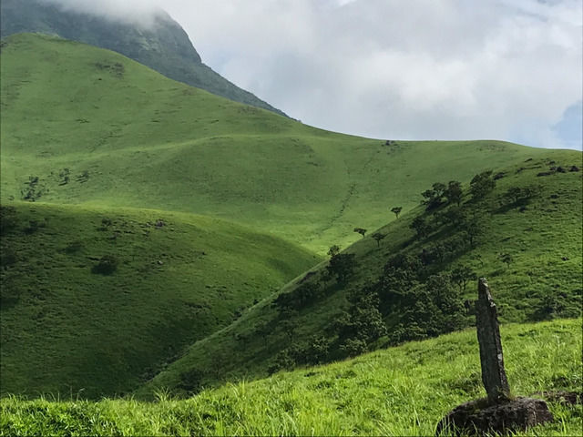 九州の草の山