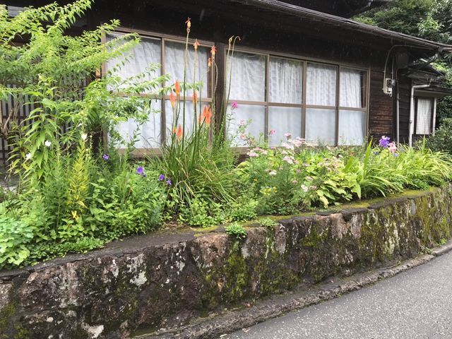 黒川温泉でみつけたボーダーガーデン Japanese BorderGarden