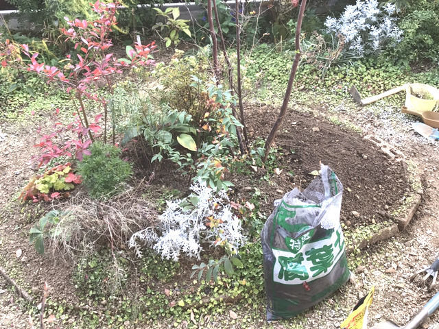 植栽と土壌改良の作業
